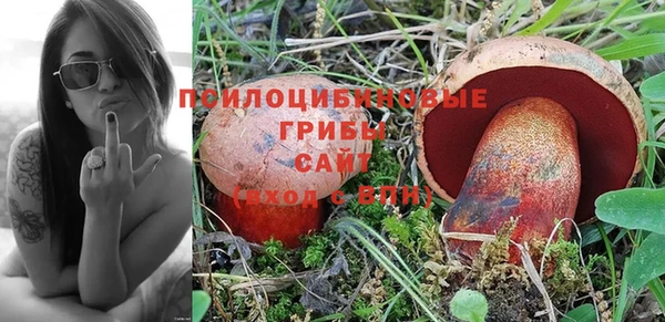 героин Алексин